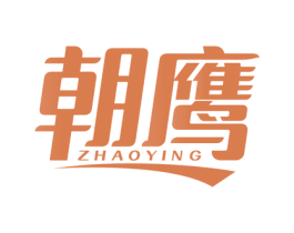 朝鹰 第10类医疗器械商标转让 注册号74673393