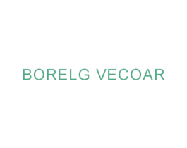 BORELG VECOAR 第18类皮革箱包商标转让 注册号49349220