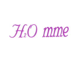 H2O MME 第03类化妆品商标转让 注册号37946506