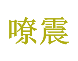 嘹震 第09类科学仪器商标转让 注册号50495402