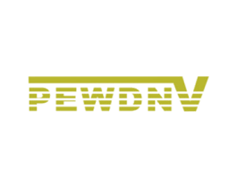 PEWDNV 第25类服装鞋帽商标转让 注册号50766569
