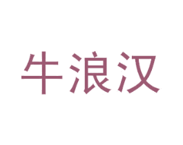 牛浪汉 第30类小食配料商标转让 注册号16655602