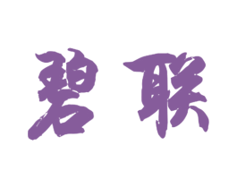 碧联 第18类皮革箱包商标转让 注册号40871573