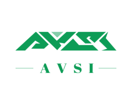 AVSI 第18类皮革箱包商标转让 注册号66656595