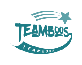 TEAMBOOS 第18类皮革箱包商标转让 注册号66655684