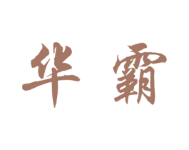 华霸 第10类医疗器械商标转让 注册号48164670