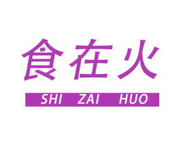 食在火 第09类科学仪器商标转让 注册号44429899