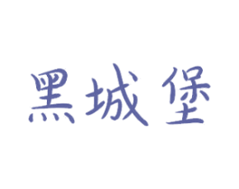 黑城堡 第09类科学仪器商标转让 注册号28265950