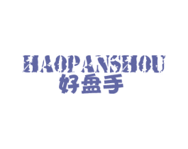 好盘手 第09类科学仪器商标转让 注册号29971103