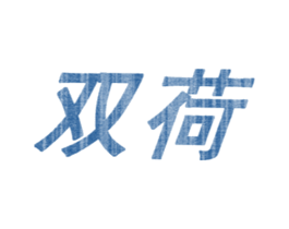双荷