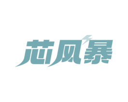 芯风暴