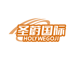 圣蔚国际 HOLYWEGOJI 第10类医疗器械商标转让 注册号72749205