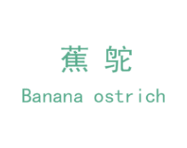 蕉鸵 BANANA OSTRICH
