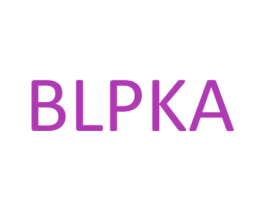 BLPKA 第25类服装鞋帽商标转让 注册号75558618