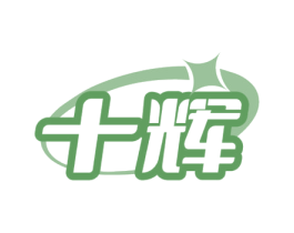 十辉