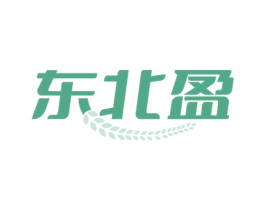东北盈