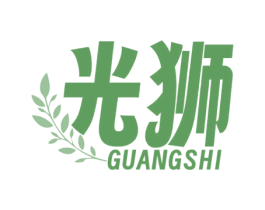 光狮