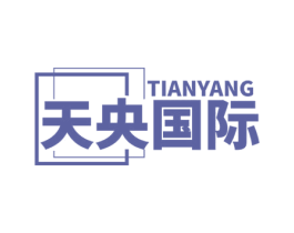 天央国际 TIANYANG