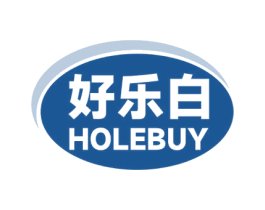 好乐白 HOLEBUY 第10类医疗器械商标转让 注册号70066226