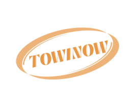 TOWINOW 第09类科学仪器商标转让 注册号70651251