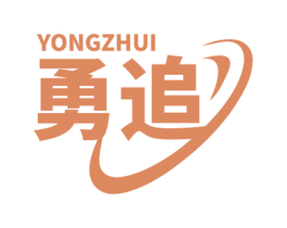 勇追 第09类科学仪器商标转让 注册号72848563