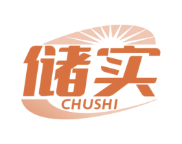 储实