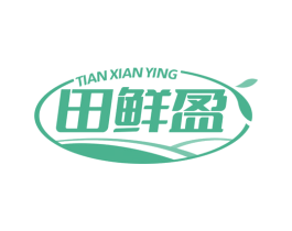 田鲜盈