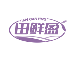 田鲜盈