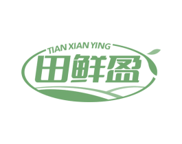 田鲜盈