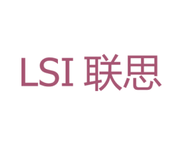 LSI 联思
