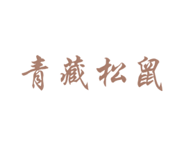 青藏松鼠