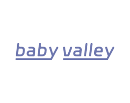 BABY VALLEY 第08类手工器械商标转让 注册号75273117