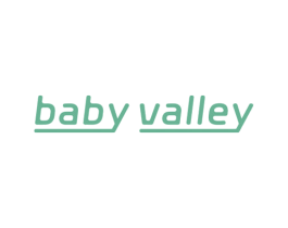 BABY VALLEY 第18类皮革箱包商标转让 注册号75292685