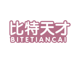 比特天才