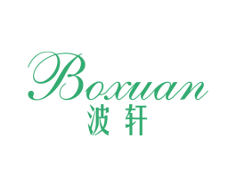 波轩