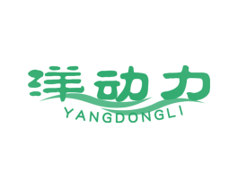 洋动力