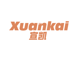 宣凯
