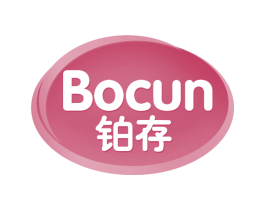 铂存