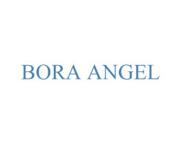 BORA ANGEL 第25类服装鞋帽商标转让 注册号71437665