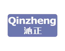 沁正