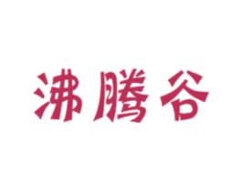 沸腾谷