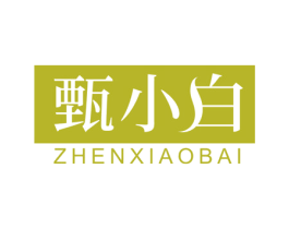 甄小白