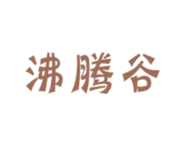 沸腾谷