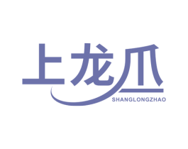 上龙爪