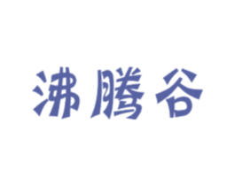 沸腾谷 第29类食品商标转让 注册号35503144
