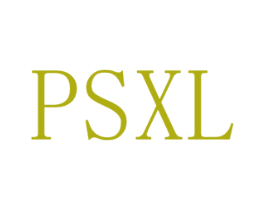 PSXL 第28类体育玩具商标转让 注册号45292766