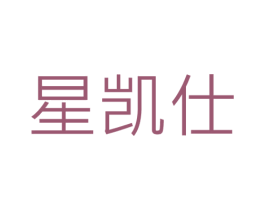 星凯仕