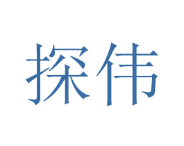 探伟