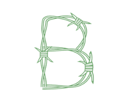 B