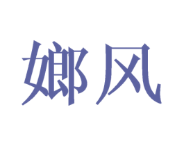 嫏风 第25类服装鞋帽商标转让 注册号45500255